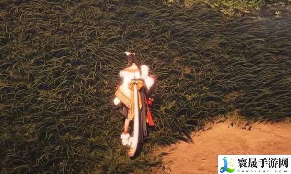 燕云十六声双剑流怎么玩-双剑流玩法介绍