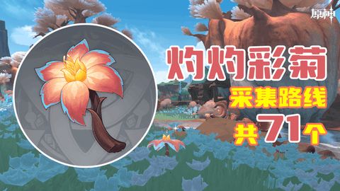 原神灼灼彩菊最新收集位置大全 71个灼灼彩菊在哪里