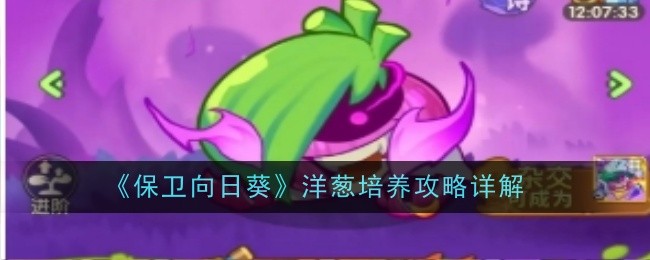 保卫向日葵洋葱怎么培养-洋葱培养攻略