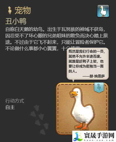 最终幻想14:水晶世界丑小鸭宠物获得方法:如何解锁游戏内的特殊成就