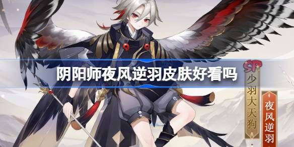 阴阳师夜风逆羽皮肤怎么样 夜风逆羽是否值得拥有