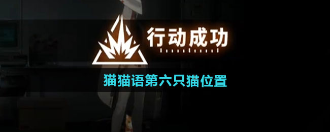 新月同行猫猫语第六只猫位置一览