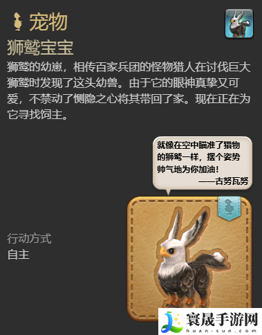 最终幻想14：水晶世界狮鹫宝宝宠物获得方法：提高PVP胜率的要点