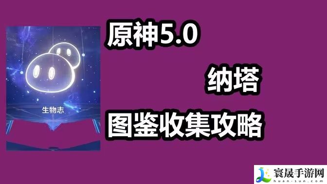 原神纳塔新增14个观景点位置攻略 原神5.0纳塔新增观景点位置
