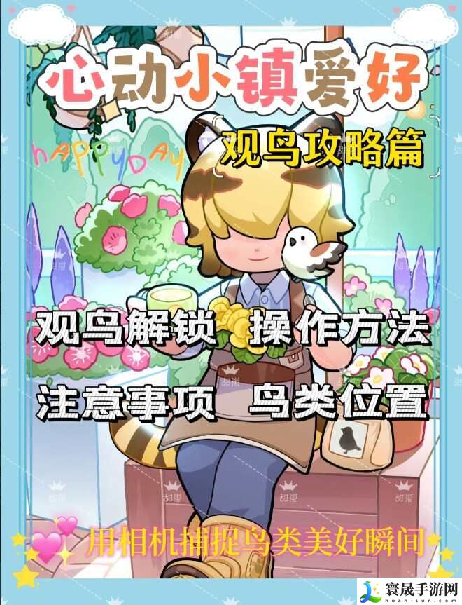 心动小镇观鸟爱好解锁攻略 心动小镇鸟分布图鉴