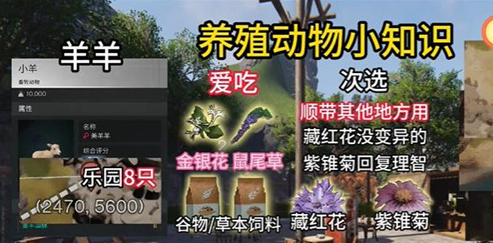七日世界动物养什么好-七日世界动物去哪里抓