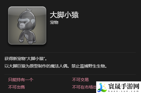最终幻想14：水晶世界大脚小辕宠物获得方法：地图导航与快速移动技巧