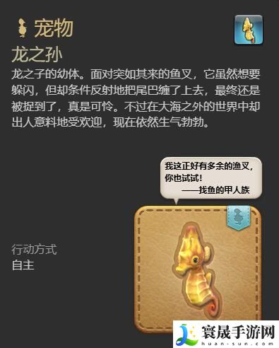 最终幻想14:水晶世界龙之孙宠物获得方法:神秘任务全解锁方法