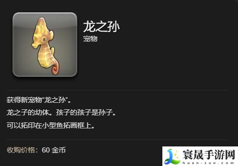 最终幻想14:水晶世界龙之孙宠物获得方法:神秘任务全解锁方法