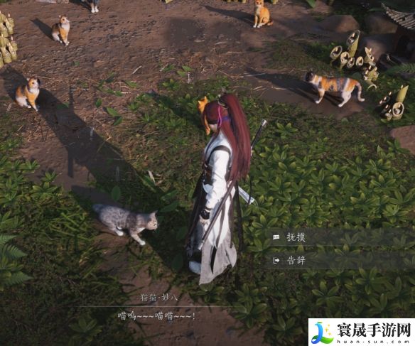 燕云十六声清河猫戏全收集攻略：装备镶嵌宝石策略