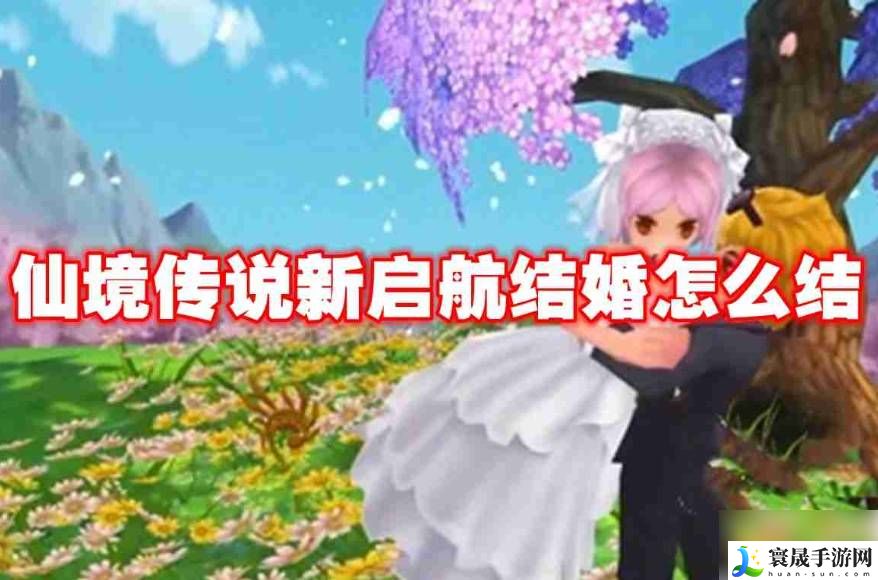 仙境传说新启航怎么结婚-仙境传说新启航结婚条件介绍