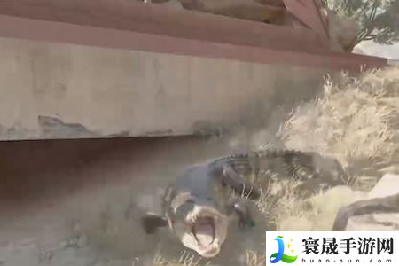 《三角洲行动》鳄鱼用途介绍