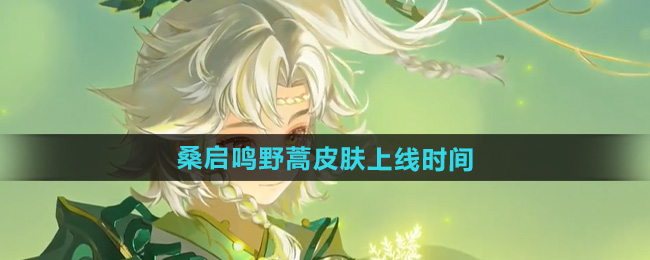 王者荣耀桑启鸣野蒿皮肤上线时间