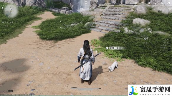 燕云十六声清河猫戏全收集攻略：装备镶嵌宝石策略