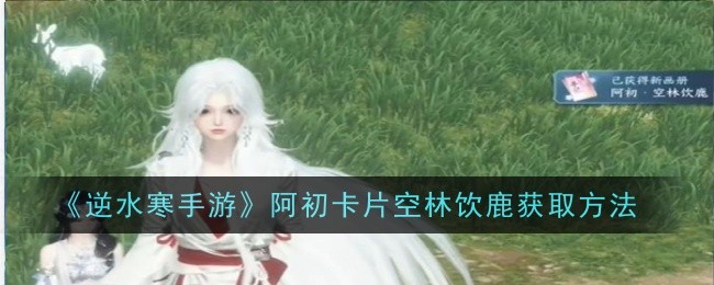 逆水寒手游阿初卡片空林饮鹿怎么获得-逆水寒手游阿初卡片空林饮鹿获取方法