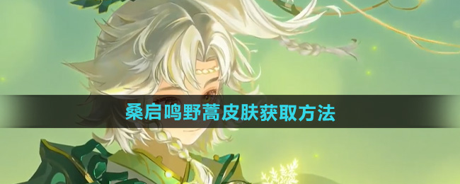 王者荣耀桑启鸣野蒿皮肤获取方法
