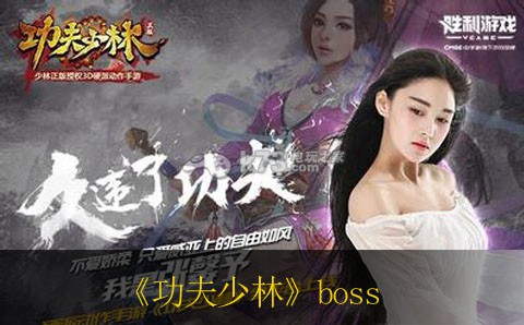 功夫少林挑战boss心得 攻略教你精通