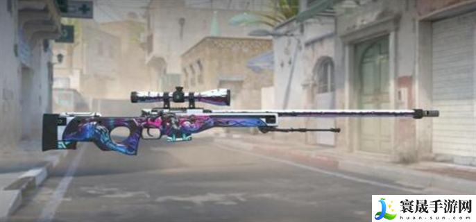 日本csgo大姐姐awp多少钱