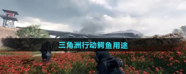 三角洲行动鳄鱼用途介绍