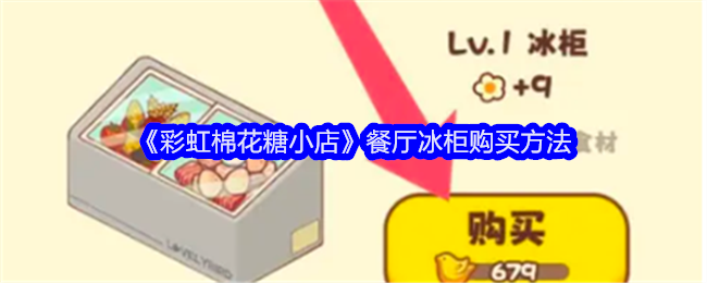 彩虹棉花糖小店餐厅冰柜购买方法：新手入门必备知识