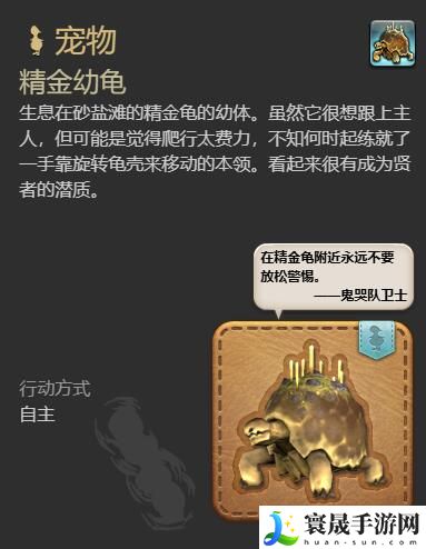 最终幻想14：水晶世界精金幼龟获得方法：最佳游戏地图探索路线
