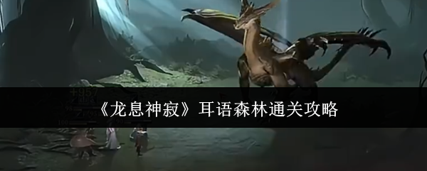 龙息神寂耳语森林通关攻略：充分利用游戏中的排行榜和竞技功能