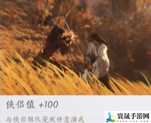 燕云十六声侠侣玩法攻略:避免走弯路
