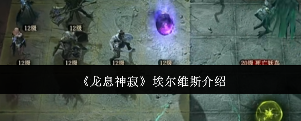 龙息神寂埃尔维斯介绍：角色定位与职业选择