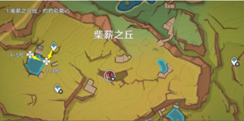 原神5.1灼灼彩菊在哪刷新-灼灼彩菊怎么快速找到