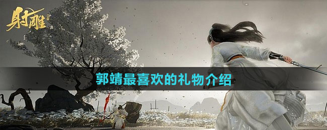 射雕郭靖最喜欢的礼物介绍