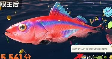 欢乐钓鱼大师双倍经验怎么获得 双倍经验获得方法