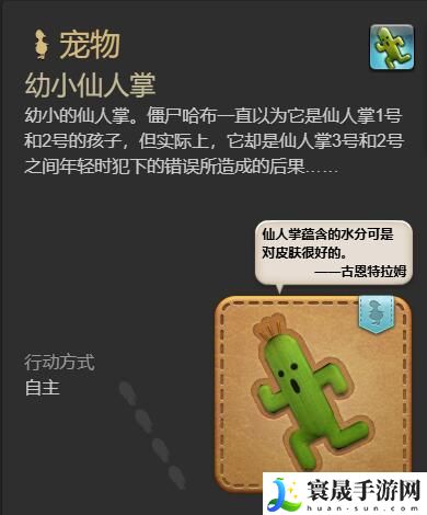 最终幻想14：水晶世界幼小仙人掌宠物获得方法：如何最大化游戏收益