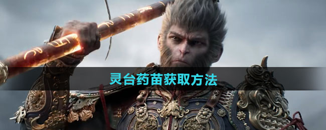 黑神话悟空灵台药苗获取方法