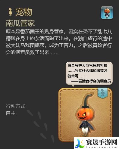 最终幻想14：水晶世界南瓜管家宠物获得方法：深入了解游戏内的宠物和坐骑系统