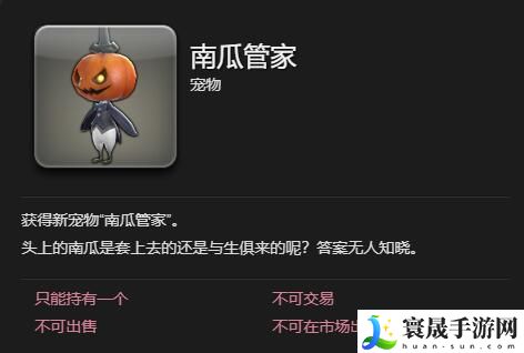 最终幻想14：水晶世界南瓜管家宠物获得方法：深入了解游戏内的宠物和坐骑系统