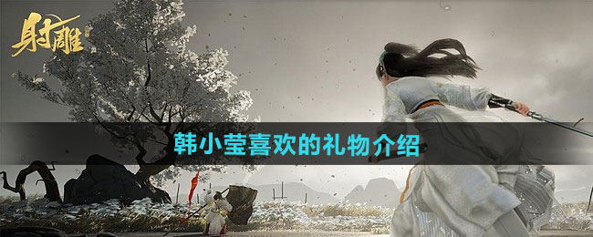 射雕韩小莹喜欢的礼物介绍