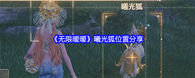 无限暖暖曦光狐位置分享：技能释放节奏掌握