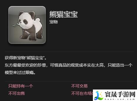 最终幻想14：水晶世界熊猫宝宝宠物获取攻略：游戏中的装备系统全解析