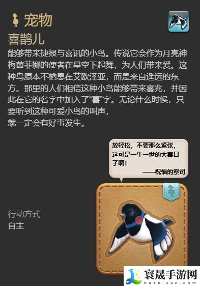 最终幻想14：水晶世界喜鹊儿宠物获得方法：角色发展最佳策略总结