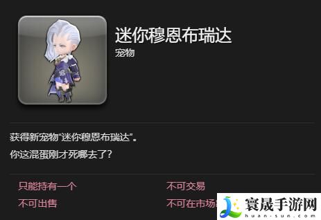 最终幻想14：水晶世界迷你穆恩布瑞达宠物获得方法：地图秘密与宝藏位置分享