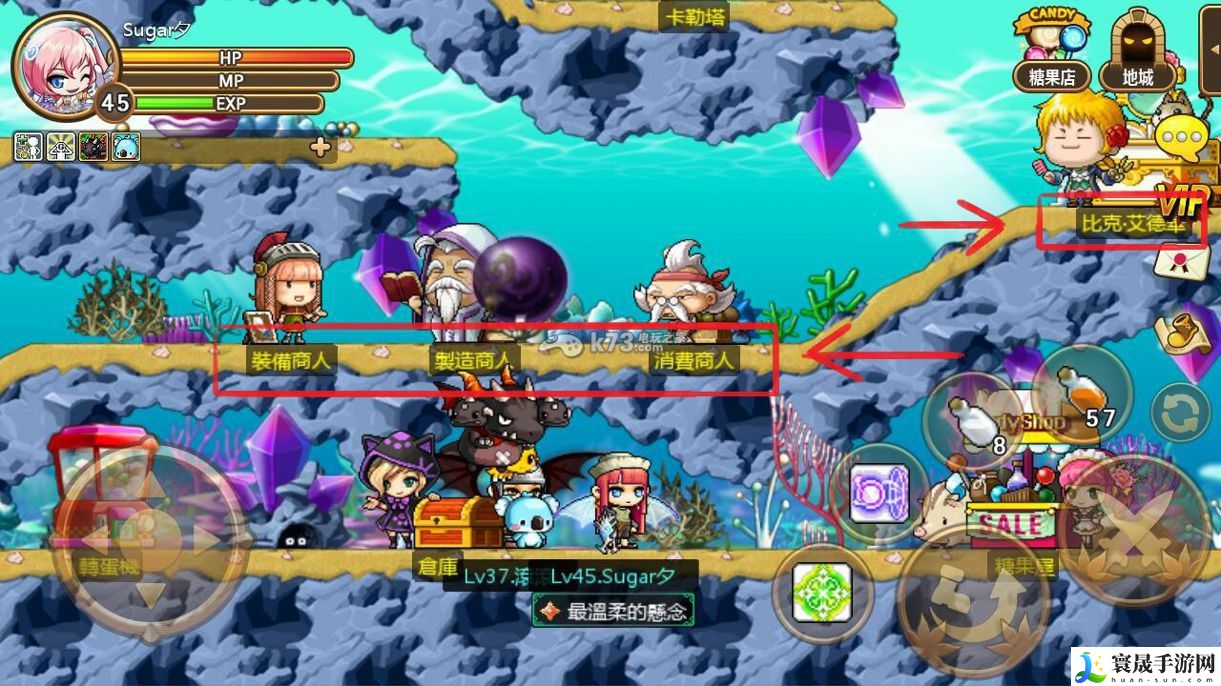 冒险岛手游操作指南 好友与商人介绍 宠物进化与技能搭配指南