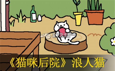 猫咪后院浪人猫出现方法 如何充分利用游戏内的经验加成道具?