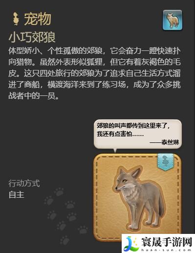 最终幻想14：水晶世界小巧郊狼宠物获得方法：活动参与与奖励最大化攻略