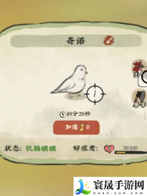 《仙山小农》养鸽子方法