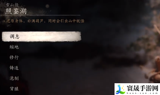 《黑神话悟空》照鉴湖雪树下打坐点位置