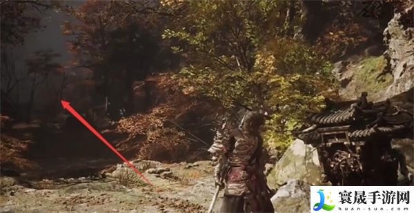 《黑神话悟空》毒敌大王触发方法