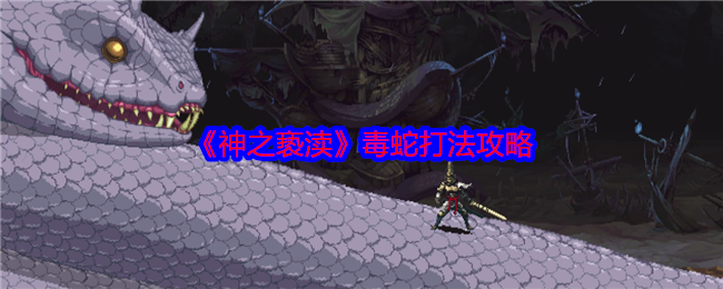 神之亵渎毒蛇打法攻略：战斗技能进阶与组合策略