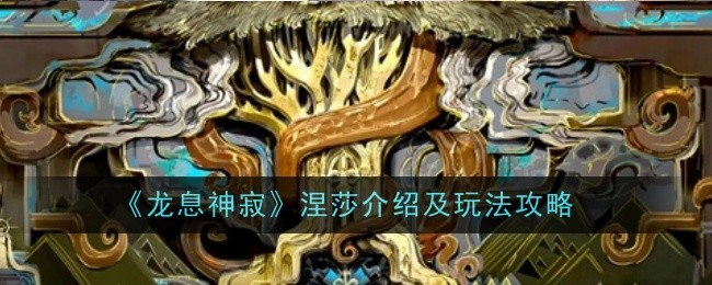 龙息神寂涅莎介绍及玩法攻略：游戏界面设置与个性化定制