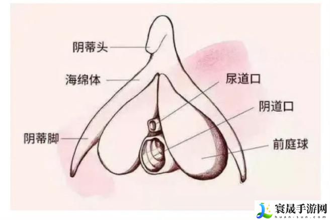 大荫蒂BBBBBB大荫蒂