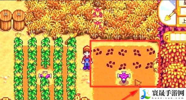 《星露谷物语》甜菜根获取方法